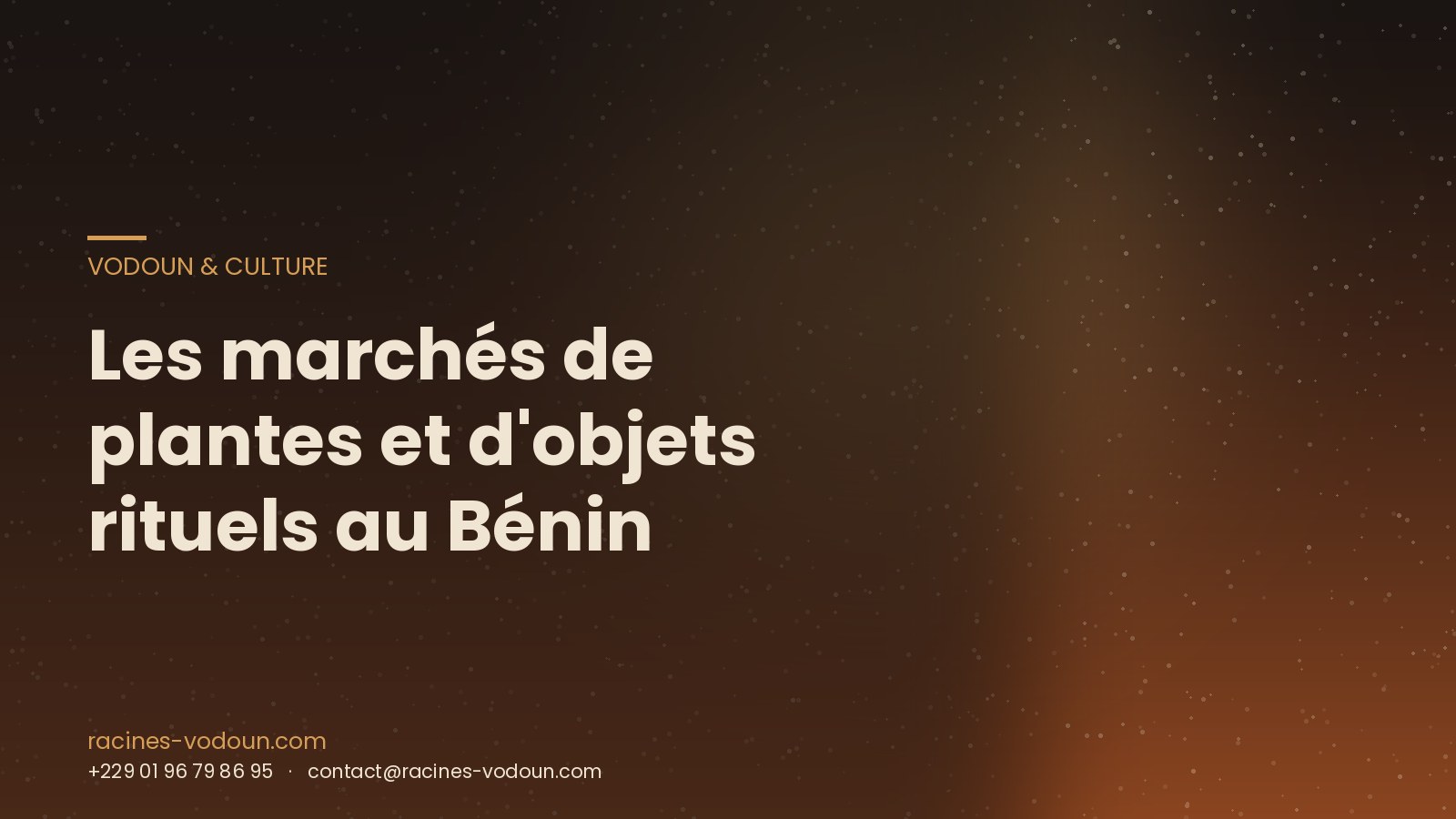 Les marchés de plantes et d'objets rituels au Bénin