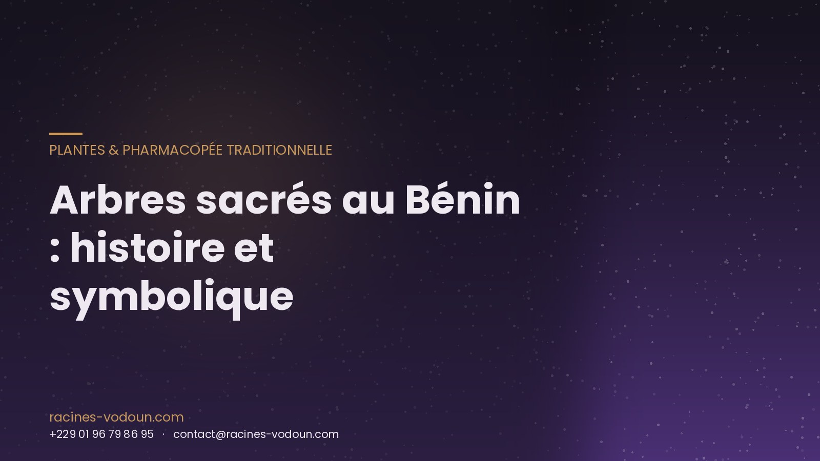 Arbres sacrés au Bénin : histoire et symbolique